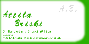 attila briski business card